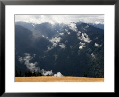 Olympic Mountains From Hurricane Ridge, Washington by Tim Laman Pricing Limited Edition Print image