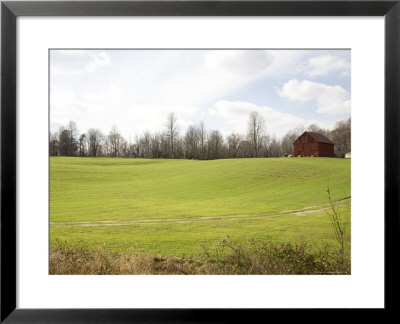 Rural Farmlands Provide A Scenic View by Stephen St. John Pricing Limited Edition Print image