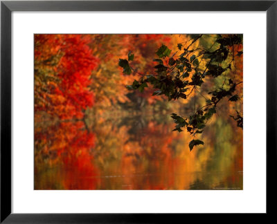 Brilliant Fall Colors Reflect On Water by Brian Gordon Green Pricing Limited Edition Print image