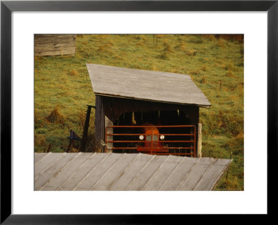 Tractor Sheltered In A Shed by Raymond Gehman Pricing Limited Edition Print image