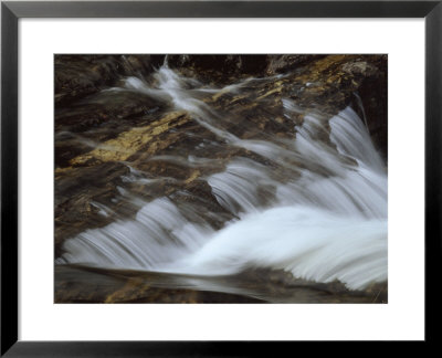 Small River Cascades Over Rocks In A Coastal Atlantic Forest by Jason Edwards Pricing Limited Edition Print image