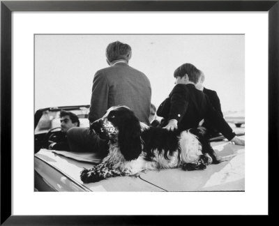 English Cocker Freckles On Campaign Trail In Indiana With Robert F. Kennedy And Son, Michael by Bill Eppridge Pricing Limited Edition Print image