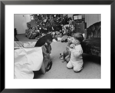 Raymond And Susie Mcfarland Looking At Their New Airedale Puppy Leaning Out Of A Christmas Gift Box by Ralph Crane Pricing Limited Edition Print image