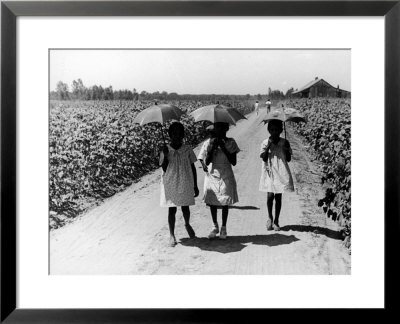 Three Young Barefoot African American Sharecroppers' Daughters On Their Way To Sunday School by Alfred Eisenstaedt Pricing Limited Edition Print image