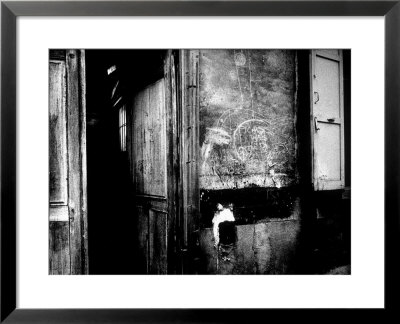 Interior Hallway And Graffiti: Picasso Was Here, Bateau Lavoir, Montmartre by Gjon Mili Pricing Limited Edition Print image