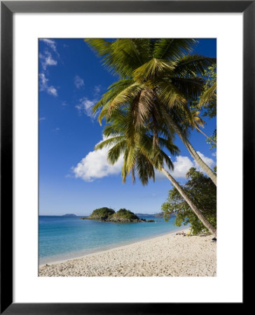 Trunk Bay, St. John, U.S. Virgin Islands, West Indies, Caribbean, Central America by Gavin Hellier Pricing Limited Edition Print image