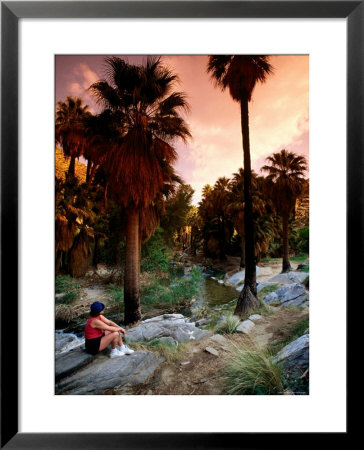 Agua Caliente Indian Reserve Palm Canyon, Upper Canyon, Palm Springs, California by John Elk Iii Pricing Limited Edition Print image