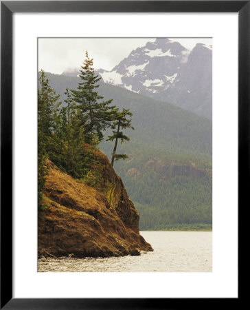 Fir Trees Cling To A Waterside Cliff by Raymond Gehman Pricing Limited Edition Print image