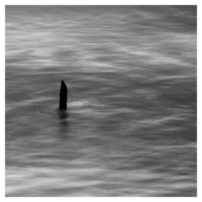 Stump At Gold Beach by Shane Settle Pricing Limited Edition Print image