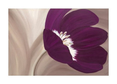 Velvet Poppy by Kate Lake Pricing Limited Edition Print image