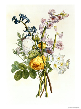 Bouquet Of Rose, Narcissus And Hyacinth by Jean Louis Prevost Pricing Limited Edition Print image
