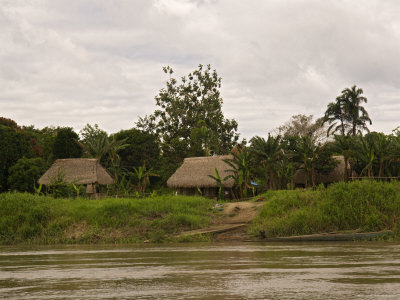 Indian Village On Rio Madre De Dios, Amazon River Basin, Peru by Dennis Kirkland Pricing Limited Edition Print image