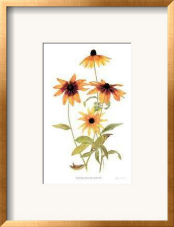 Gloriosa Daisy Family by Pamela Stagg Pricing Limited Edition Print image
