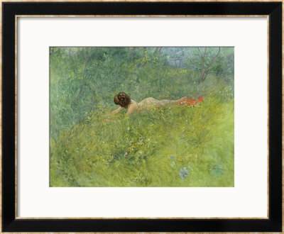 On The Grass by Carl Larsson Pricing Limited Edition Print image