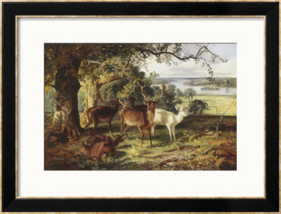 Deer In The Shade by Joseph Denovan Adam Pricing Limited Edition Print image