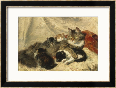 Taking A Cat Nap by Henriette Ronner-Knip Pricing Limited Edition Print image