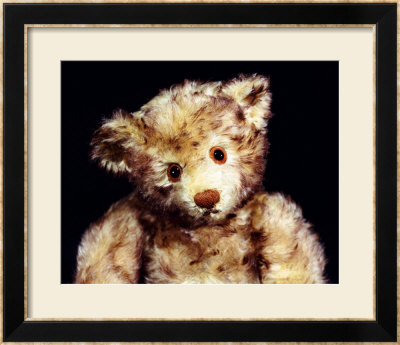 Close Up Of A Steiff Dual Mohair Teddy Bear, C, 1926 by Steiff Pricing Limited Edition Print image