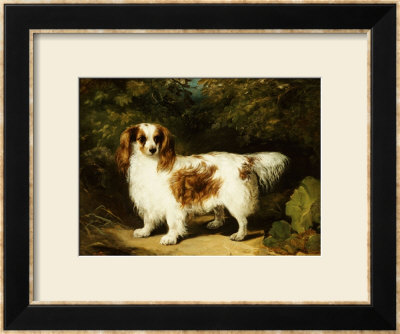 A Blenheim Cavalier King Charles Spaniel by H. Willis Pricing Limited Edition Print image