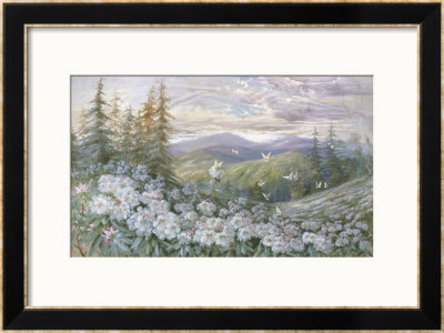 Rhododendrons And Butterflies by Marion Ellis Rowan Pricing Limited Edition Print image