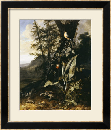 Forest Floor With A Toad And A Lizard, A Bullfinch On A Branch Of Ivy Above And A Mountain Beyond by Giovanni Battista Salvi Da Sassoferrato Pricing Limited Edition Print image