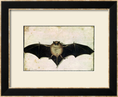 Bat, 1522 by Albrecht Dürer Pricing Limited Edition Print image