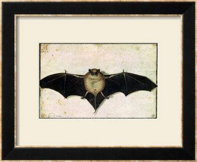 Bat, 1522 by Albrecht Durer Pricing Limited Edition Print image