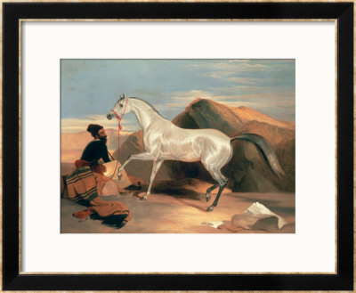 Arab Stallion by Edwin Henry Landseer Pricing Limited Edition Print image