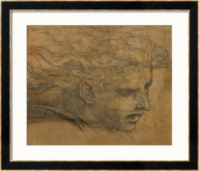 Head Of A Young Man, Three Quarters Towards The Right by Raphael Pricing Limited Edition Print image