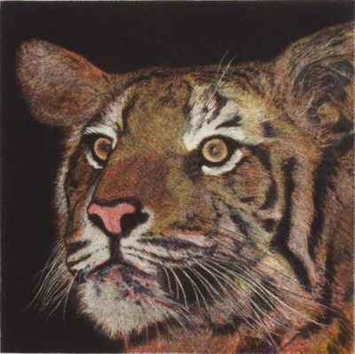 Tigre by Henry Pricing Limited Edition Print image