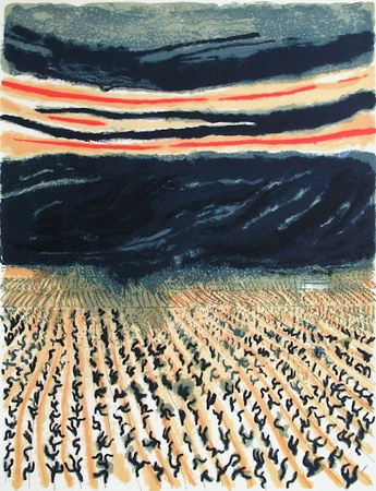 Les Vignes En Luberon by Andre Brasilier Pricing Limited Edition Print image