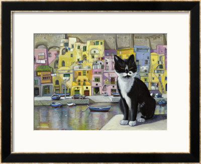 Cat In Corricella, Italy by Isy Ochoa Pricing Limited Edition Print image