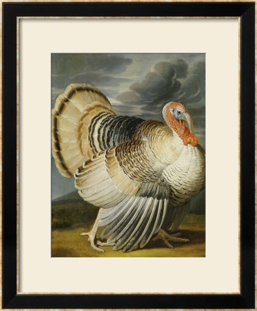 A Turkey In A Landsape by Peter Wenceslaus Pricing Limited Edition Print image