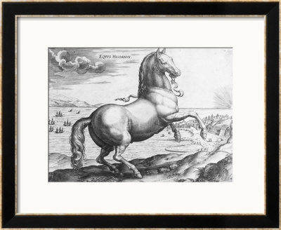 Equus Hispanus by Jan Van Der Straet Pricing Limited Edition Print image