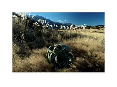 Flax Sphere by Martin Hill Pricing Limited Edition Print image
