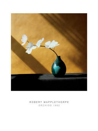 Orchids, C.1982 by Robert Mapplethorpe Pricing Limited Edition Print image