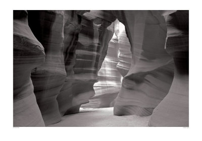 Canyon Light by Michael Elkan Pricing Limited Edition Print image
