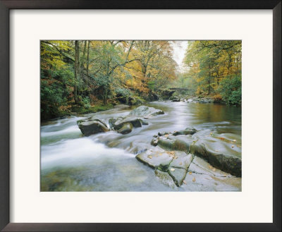 The River Esk, Eskdale, Lake District National Park, Cumbria, England, Uk by Roy Rainford Pricing Limited Edition Print image