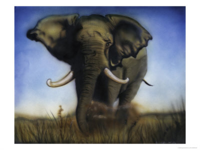 Elephant, C.1996 by Xavier Jones Pricing Limited Edition Print image