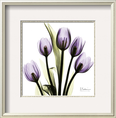 Tulip In Purple by Albert Koetsier Pricing Limited Edition Print image