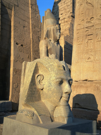 Statue Of Ramses Ii Head, Temple Of Luxor, Egypt by David Ball Pricing Limited Edition Print image