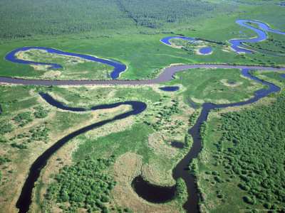 Estonian Rivers, Showing Oxbow Bends, Estonia by Niall Benvie Pricing Limited Edition Print image