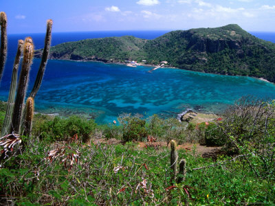 View Of Marigot Bay, Les Saintes, Guadeloupe by Greg Gawlowski Pricing Limited Edition Print image