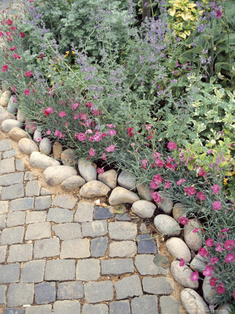 Stones & Dianthus Edging A Path Chelsea Flower Show 1993 by Tim Macmillan Pricing Limited Edition Print image