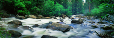 Mill Creek, Rocky Mountain National Park by Robert Kurtzman Pricing Limited Edition Print image