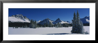Trees On A Snow Covered Landscape, Astoria Valley, Jasper National Park, Alberta, Canada by Panoramic Images Pricing Limited Edition Print image