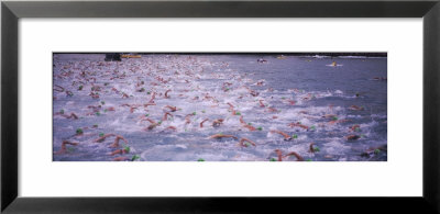 Triathlon Athletes Swimming In Water In A Race, Ironman, Kailua Kona, Hawaii, Usa by Panoramic Images Pricing Limited Edition Print image