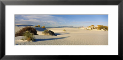 Desert Plants In White Sands National Monument, New Mexico, Usa by Panoramic Images Pricing Limited Edition Print image
