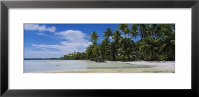 Palm Trees On An Island, Rangiroa, French Polynesia by Panoramic Images Pricing Limited Edition Print image