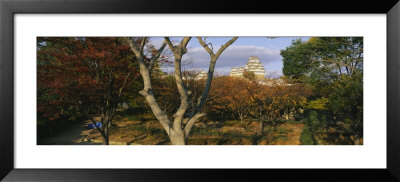 Trees In Front Of A Castle, Himeji Castle, Himeji, Honshu, Japan by Panoramic Images Pricing Limited Edition Print image