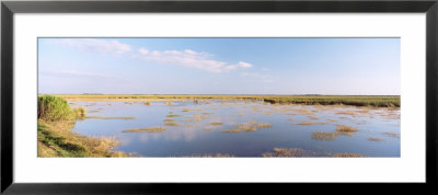 Route 41, Fakahatchee Strand State Preserve, Florida, Usa by Panoramic Images Pricing Limited Edition Print image